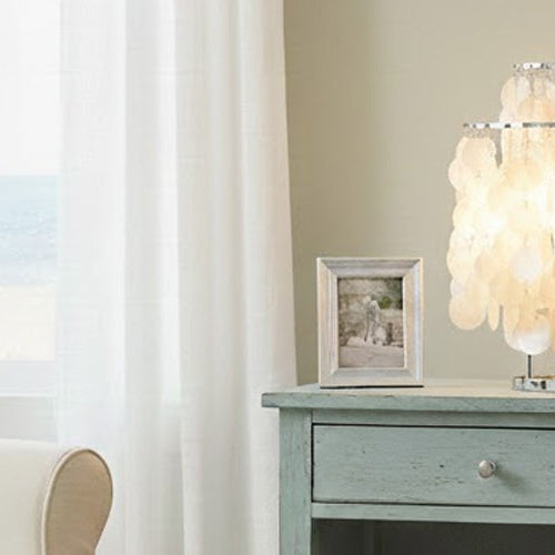 Experience Nature's Gifts: Exploring the Seashell Series Lighting Fixtures