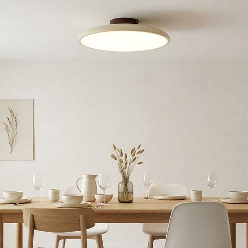 Zayn Flush Mount Ceiling Lamp: Complete Design Story + 15-Minute DIY Install