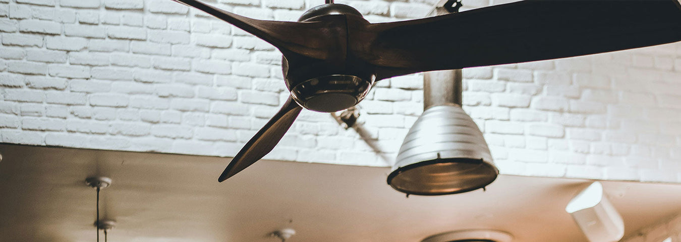 Fan Light