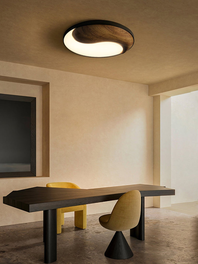Taiyi Balance Ceiling Lamp