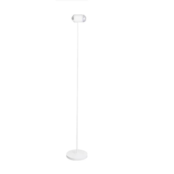 Ambient Floor Lamp