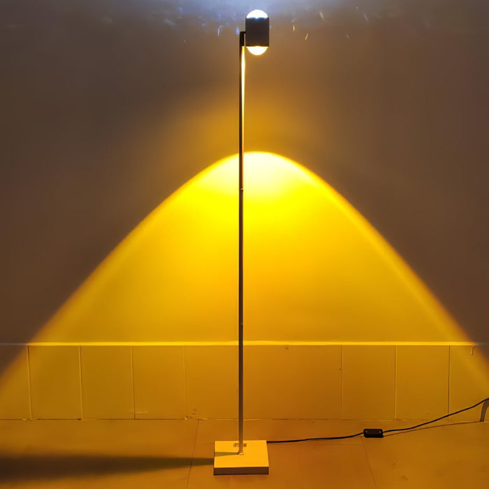 Ambient Floor Lamp