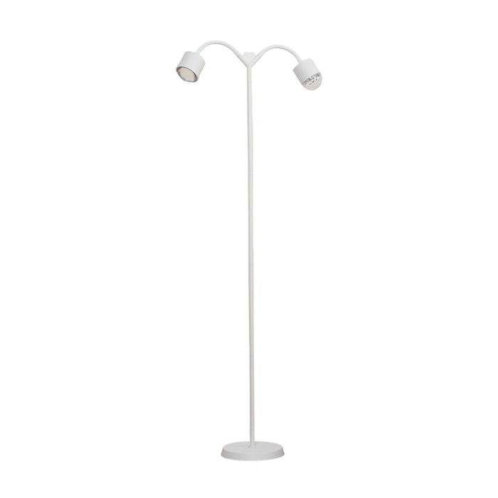 Ambient Floor Lamp