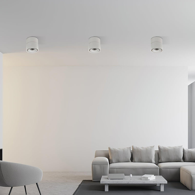 Anti-glare Nordic Surface Mounted Spotlight 3.9"