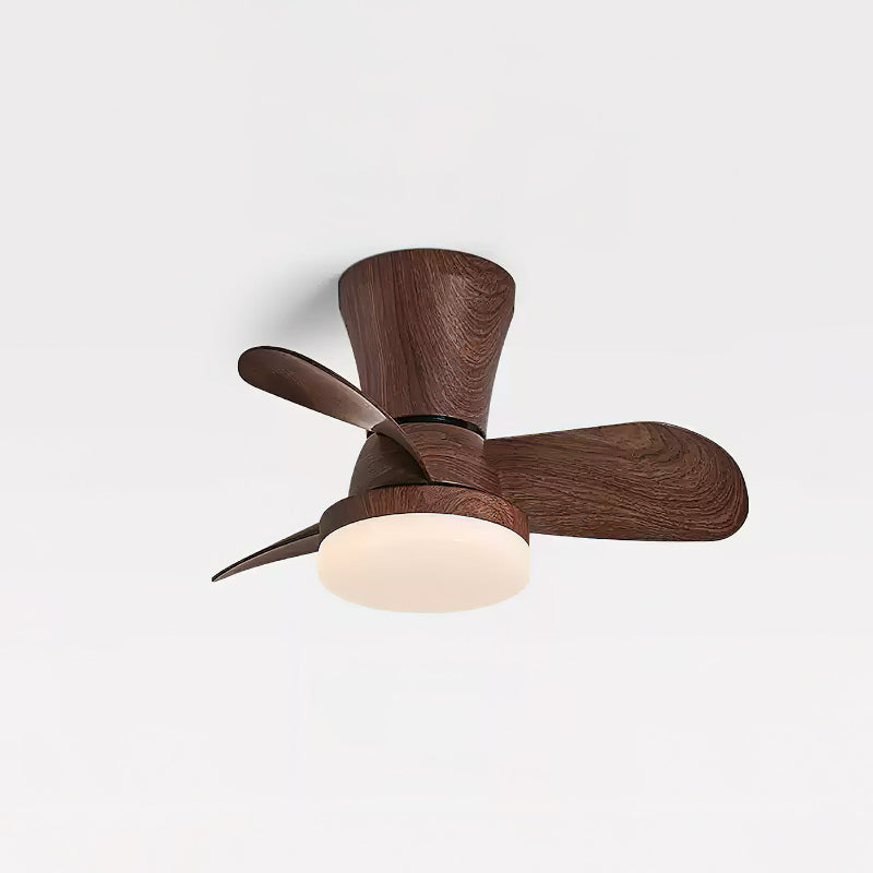 Arilia Ceiling Fan Light