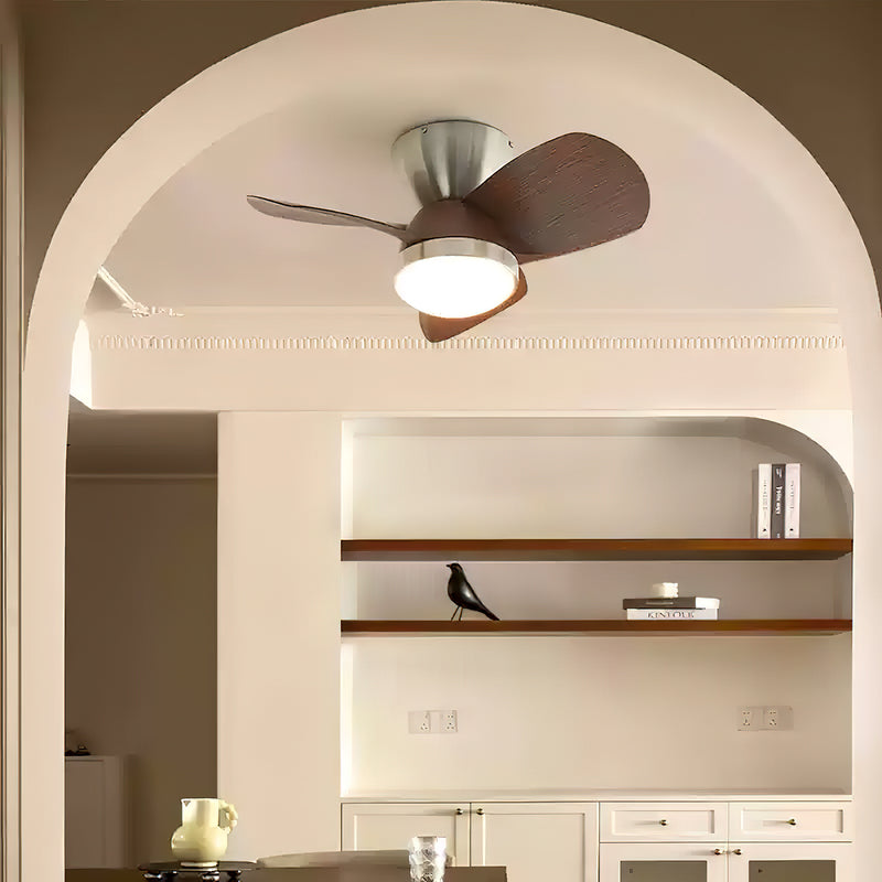 Arilia Ceiling Fan Light