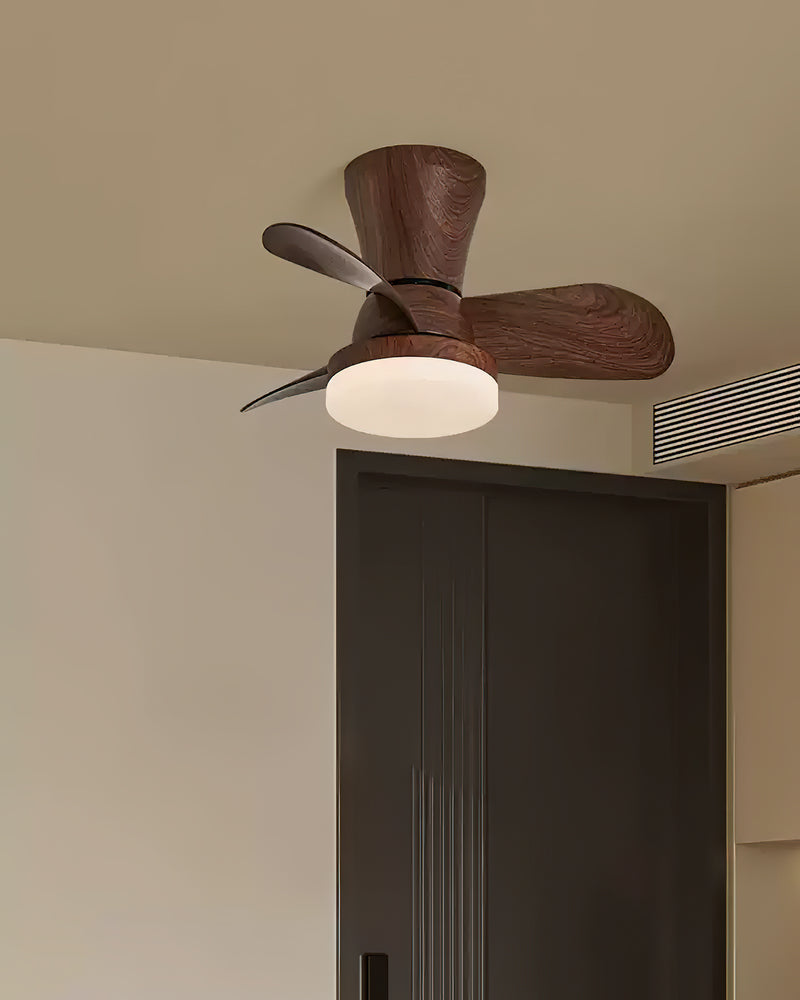 Arilia Ceiling Fan Light