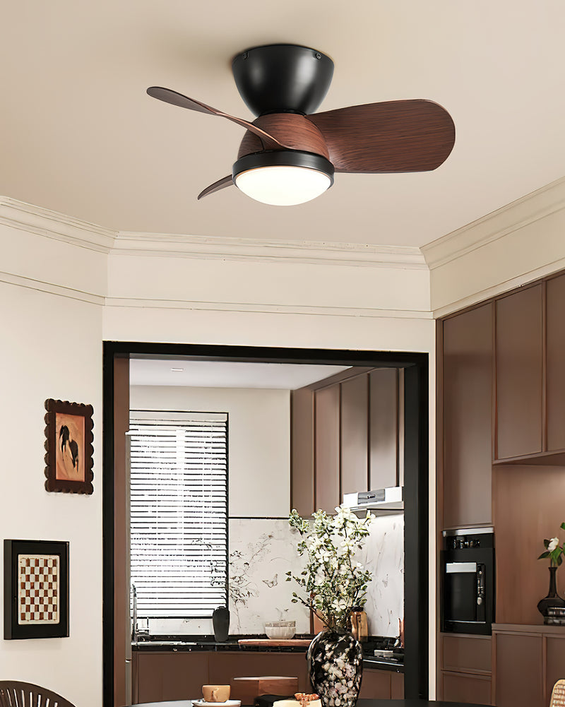 Arilia Ceiling Fan Light