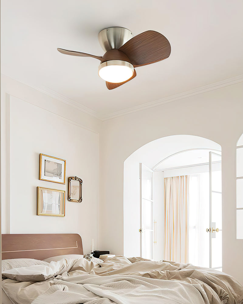 Arilia Ceiling Fan Light