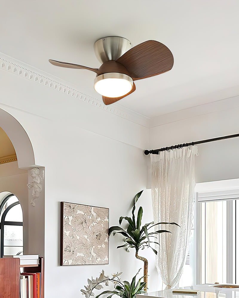 Arilia Ceiling Fan Light