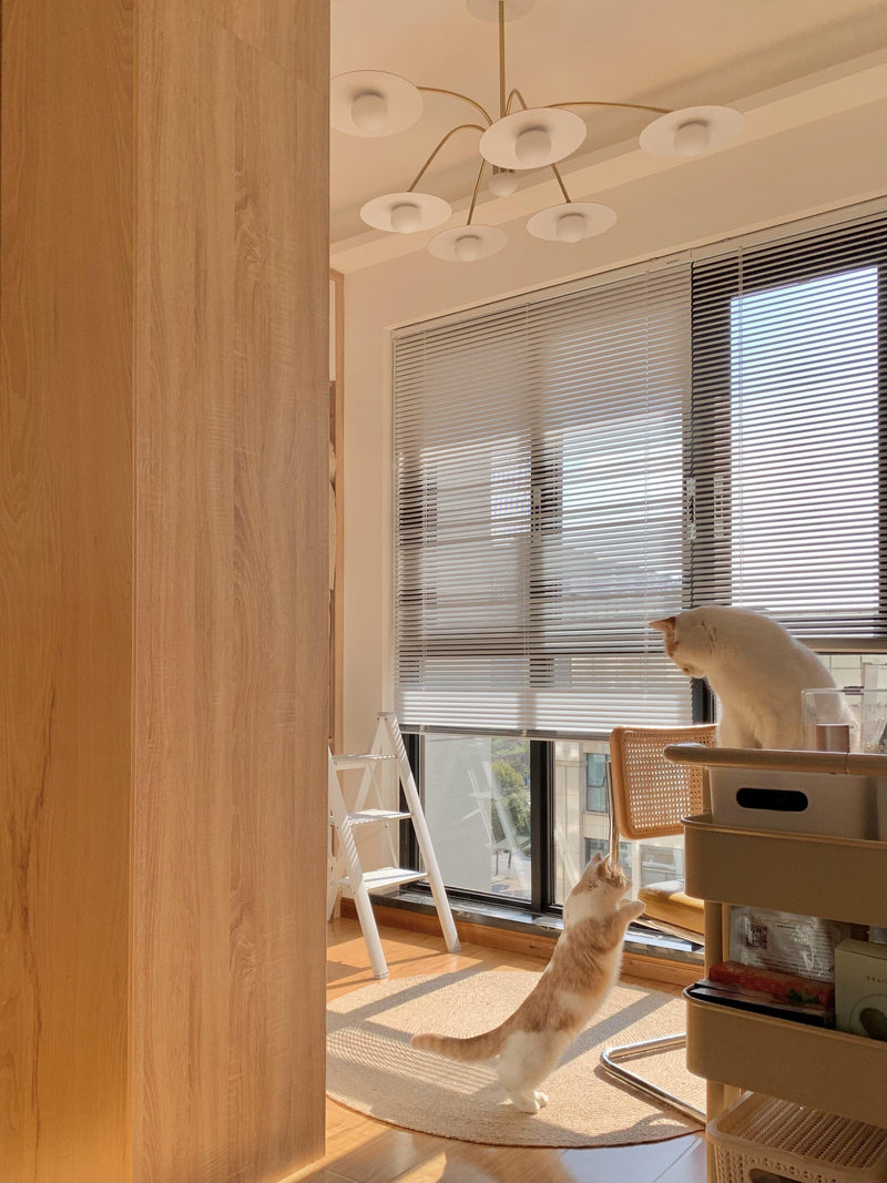 Champignon Chandelier