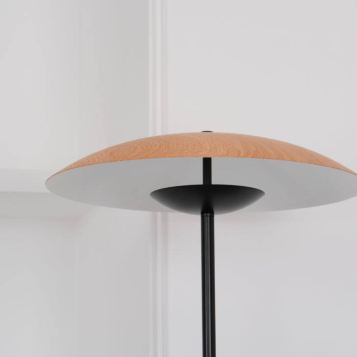 Directional Floor Lamp