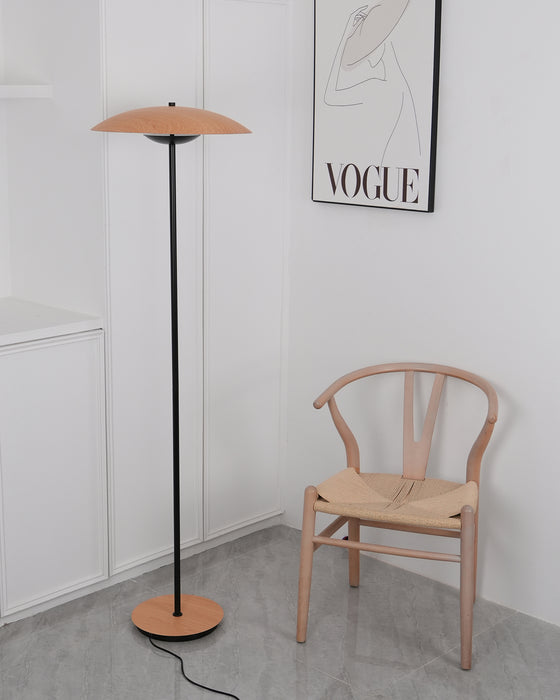 Directional Floor Lamp