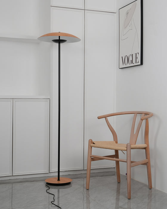 Directional Floor Lamp