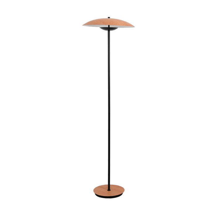 Directional Floor Lamp