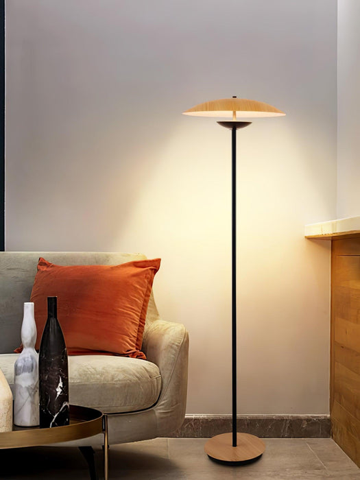 Directional Floor Lamp