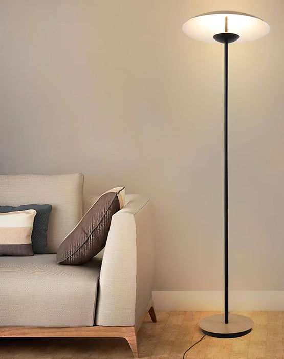 Directional Floor Lamp