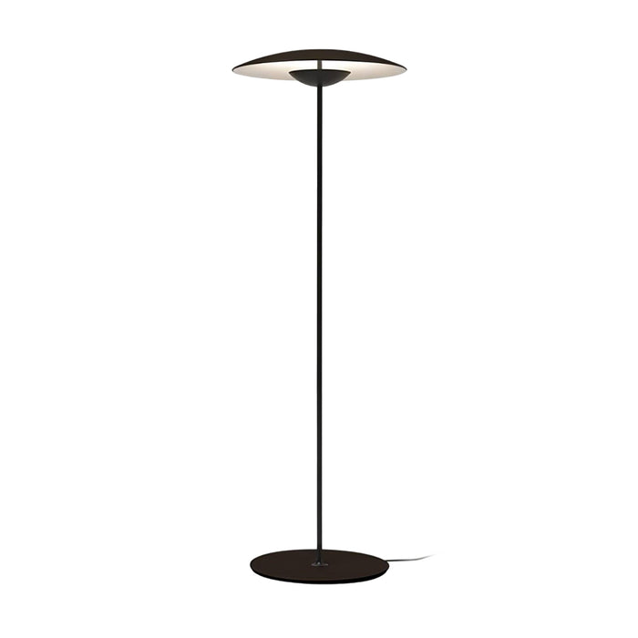 Directional Floor Lamp