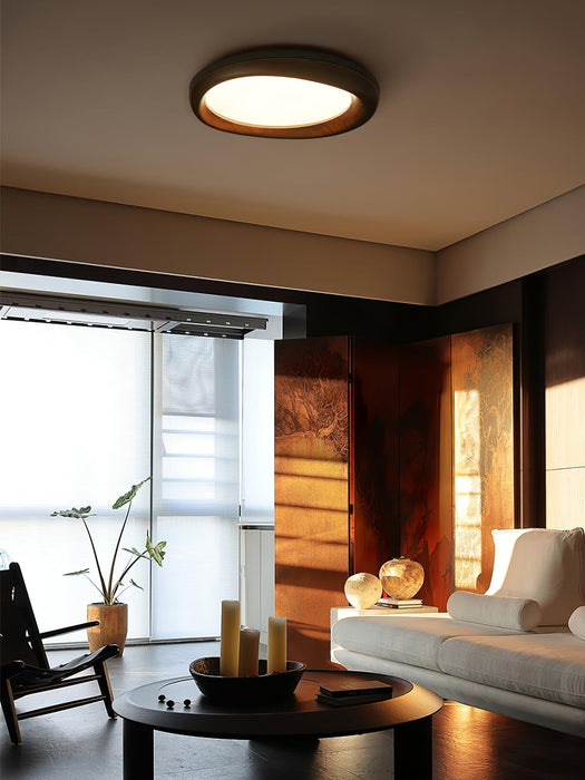 Dome Ceiling Light