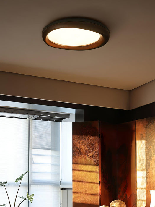 Dome Ceiling Light