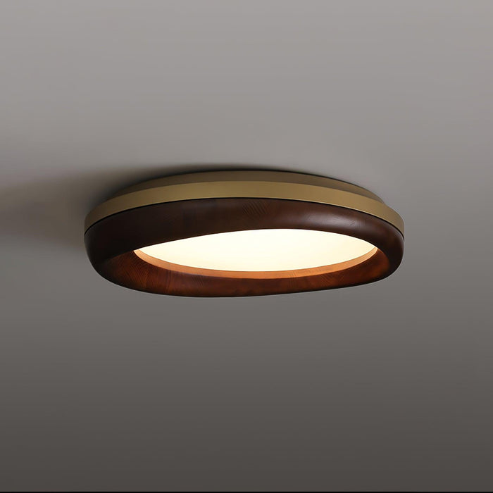 Dome Ceiling Light