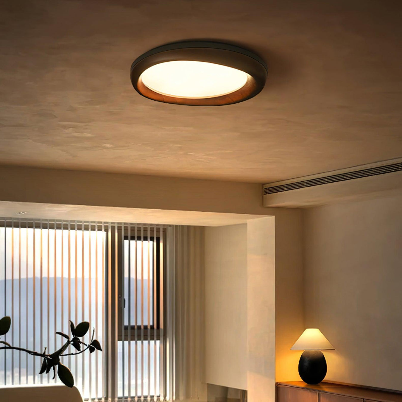 Ceiling Light