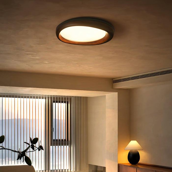 Dome Ceiling Light