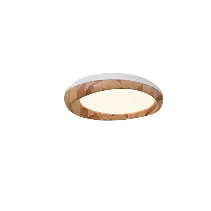 Dome Ceiling Light