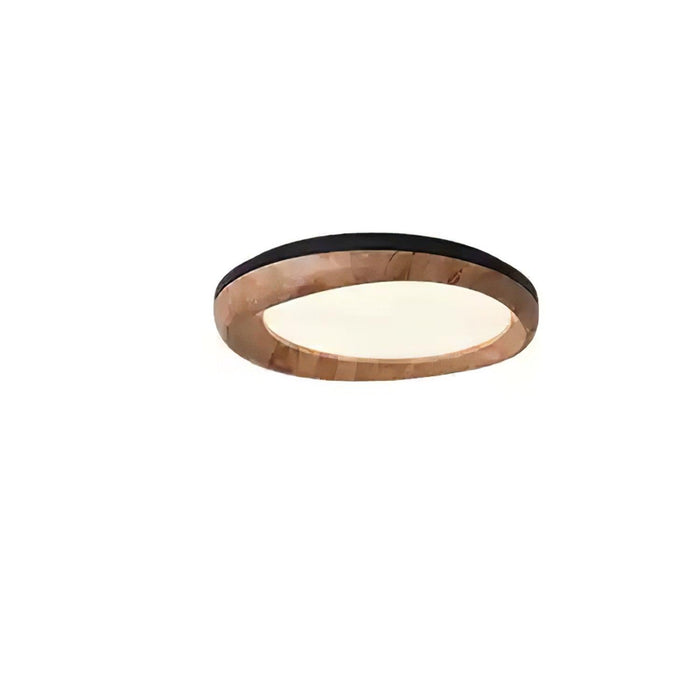 Dome Ceiling Light