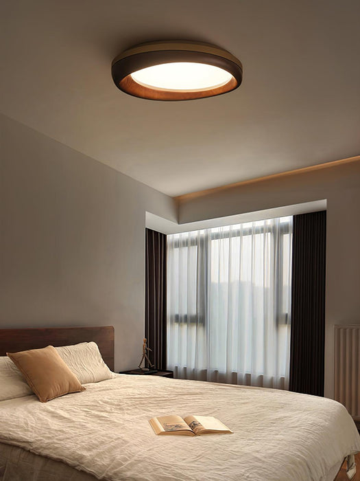 Dome Ceiling Light