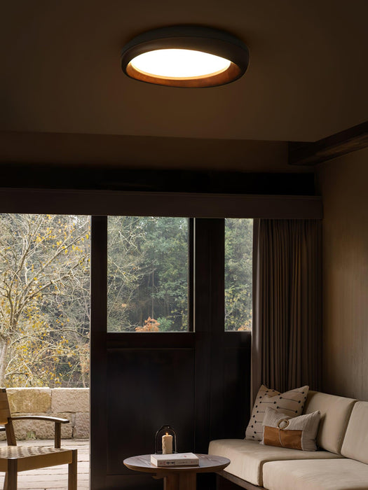 Dome Ceiling Light