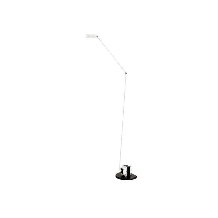 Daphines Floor Lamp 8.3"