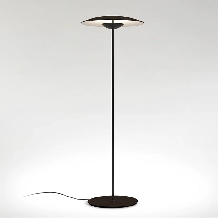 Directional Floor Lamp