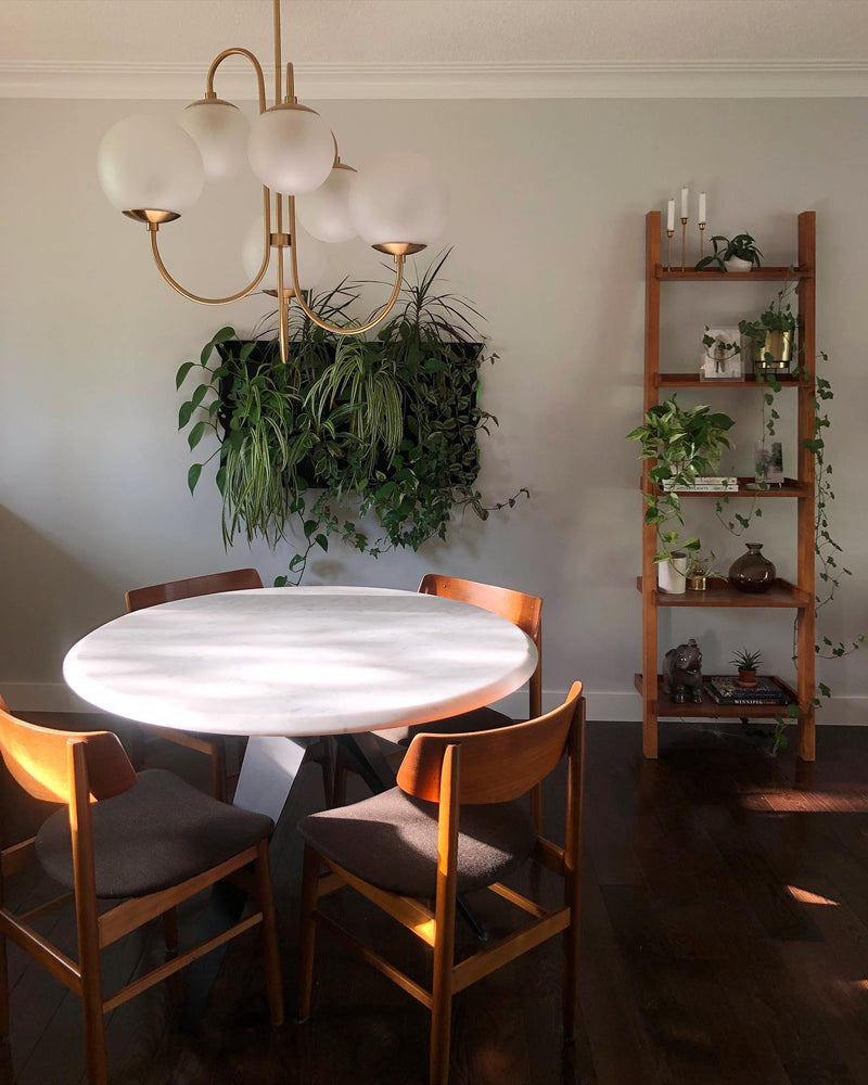 Gooseneck Chandelier 30"