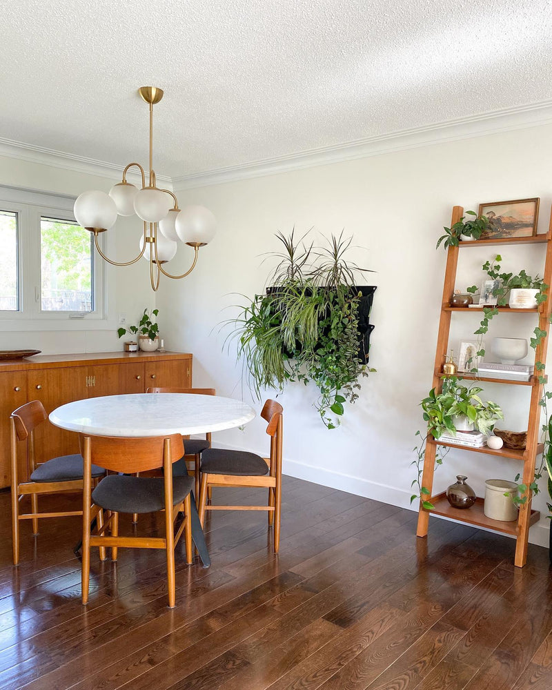 Gooseneck Chandelier 30"