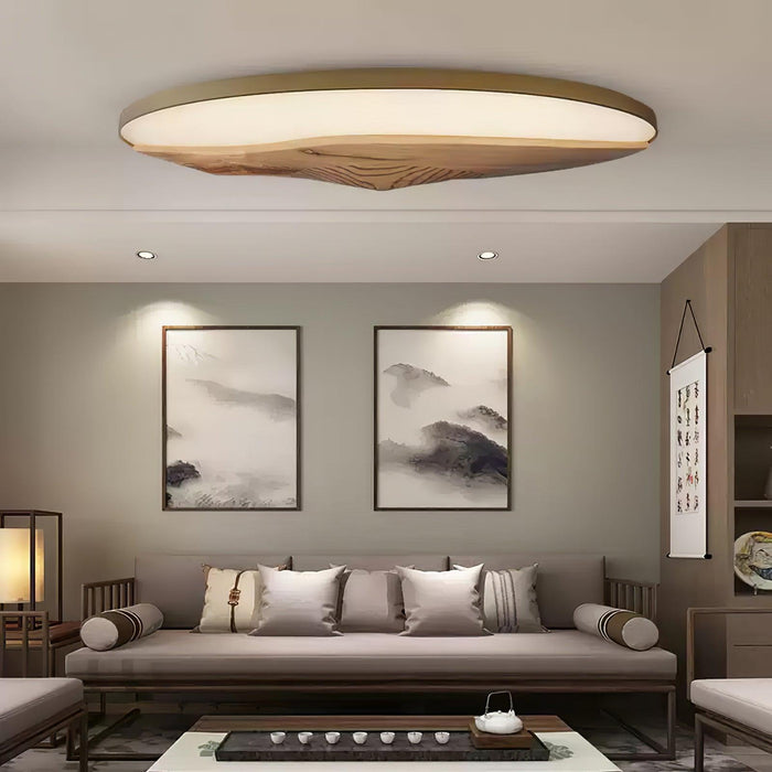 Half-Mountain Ceiling Lamp 47.2"