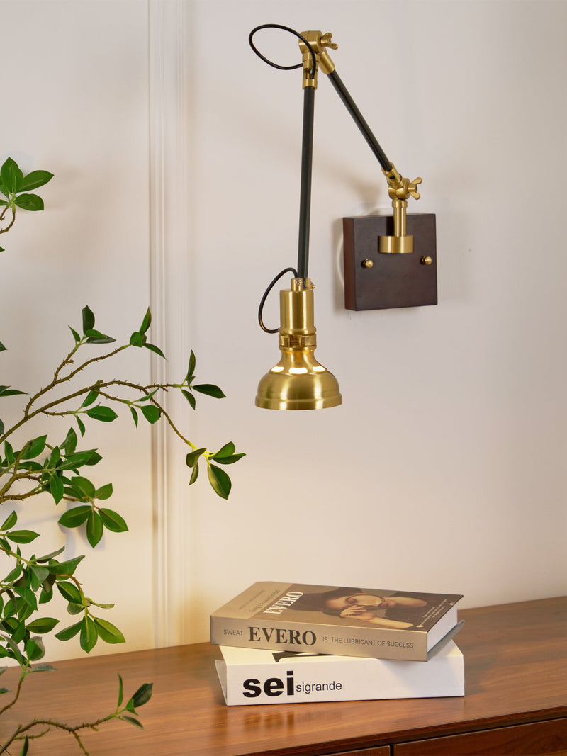 Kane Swing Arm Wall Lamp