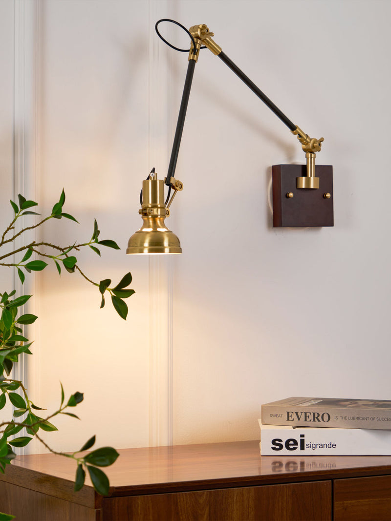 Kane Swing Arm Wall Lamp