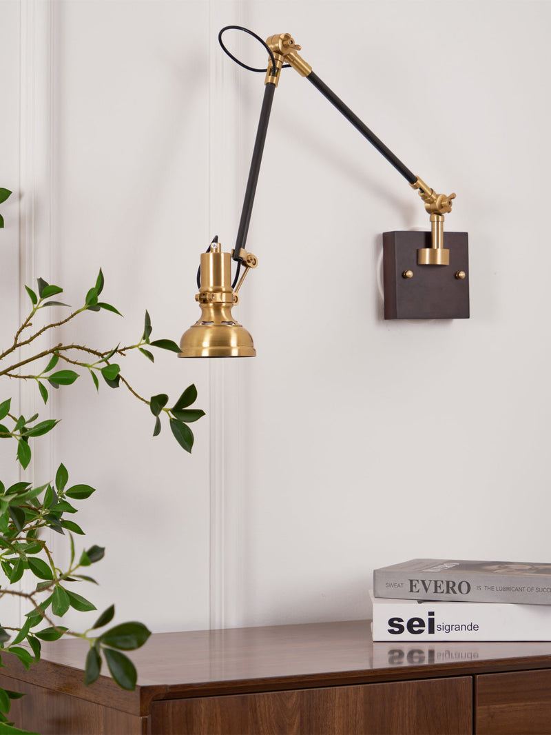 Kane Swing Arm Wall Lamp
