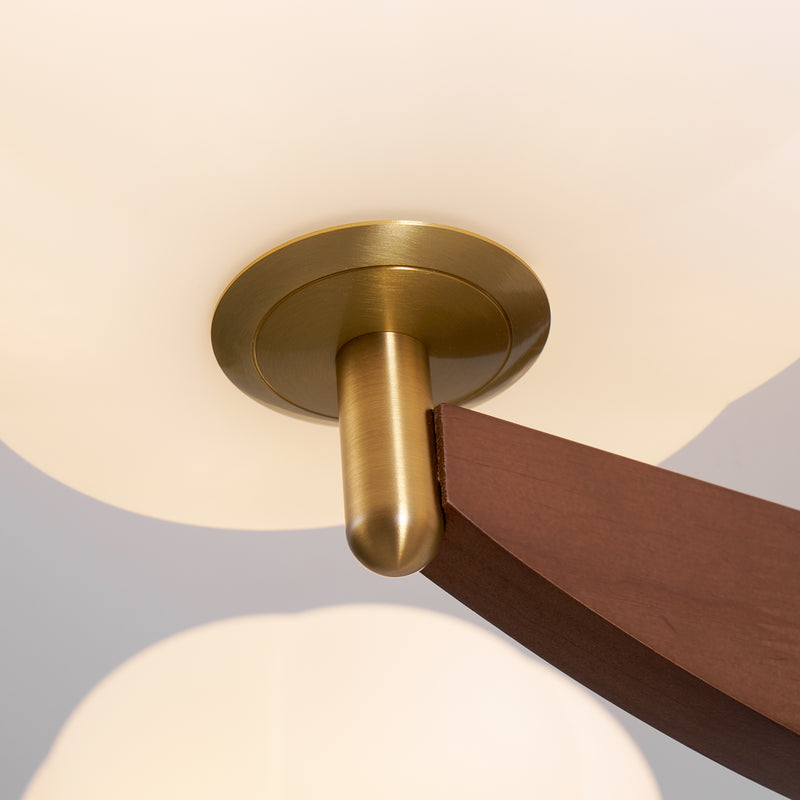 Larenta Rico Chandelier