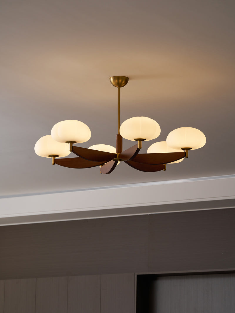 Larenta Rico Chandelier