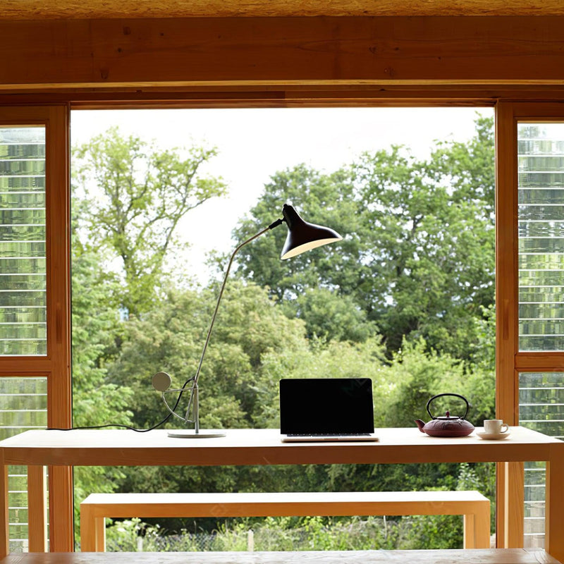 Mantis Arm Table Lamp 21.7"