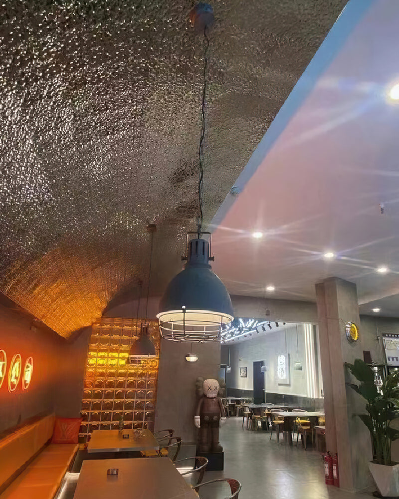 Leighton Industrial Caged Pendant