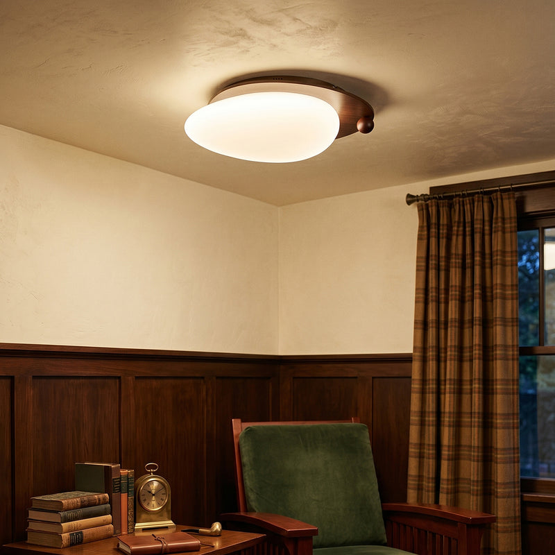 Orion Flush Mount
