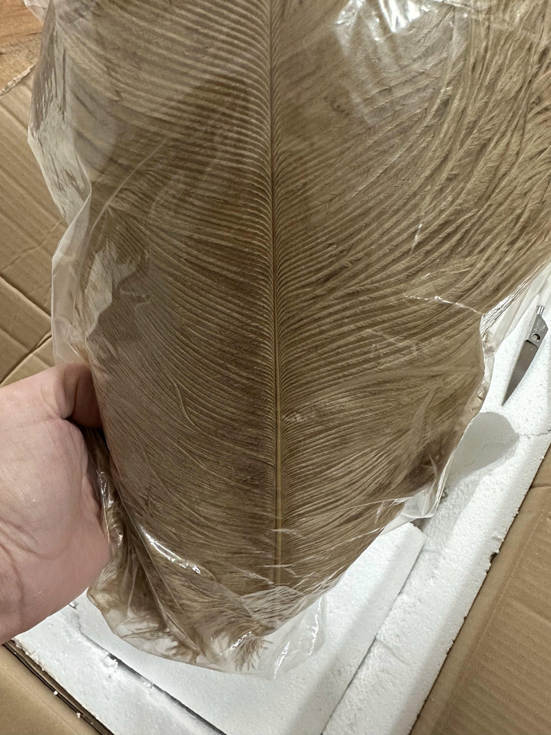 Ostrich Feather Floor Light 39.4″