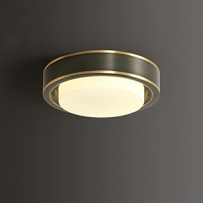 Oura Ring Ceiling Light