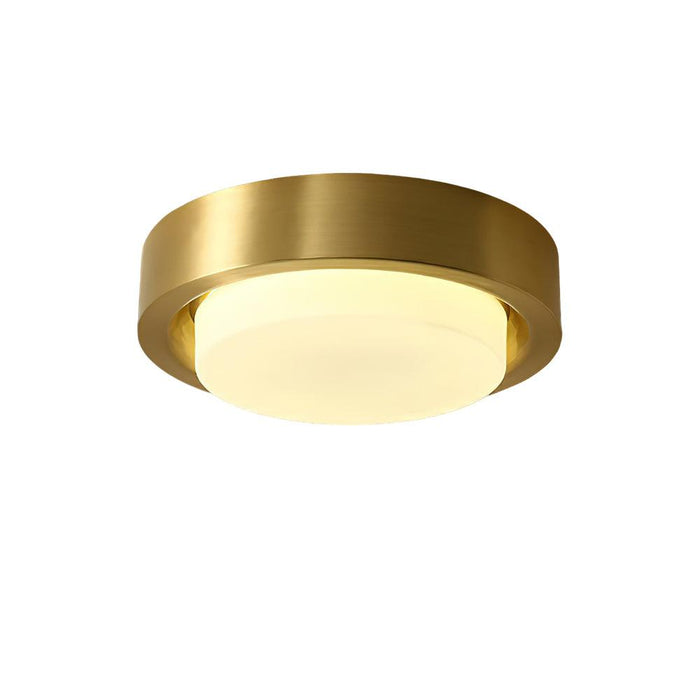 Oura Ring Ceiling Light