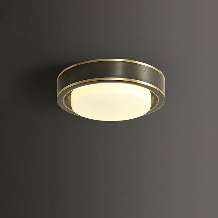 Oura Ring Ceiling Light