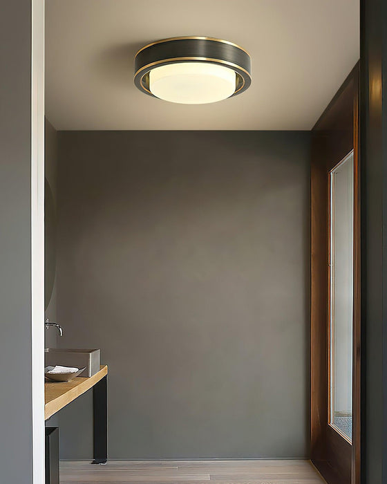 Oura Ring Ceiling Light