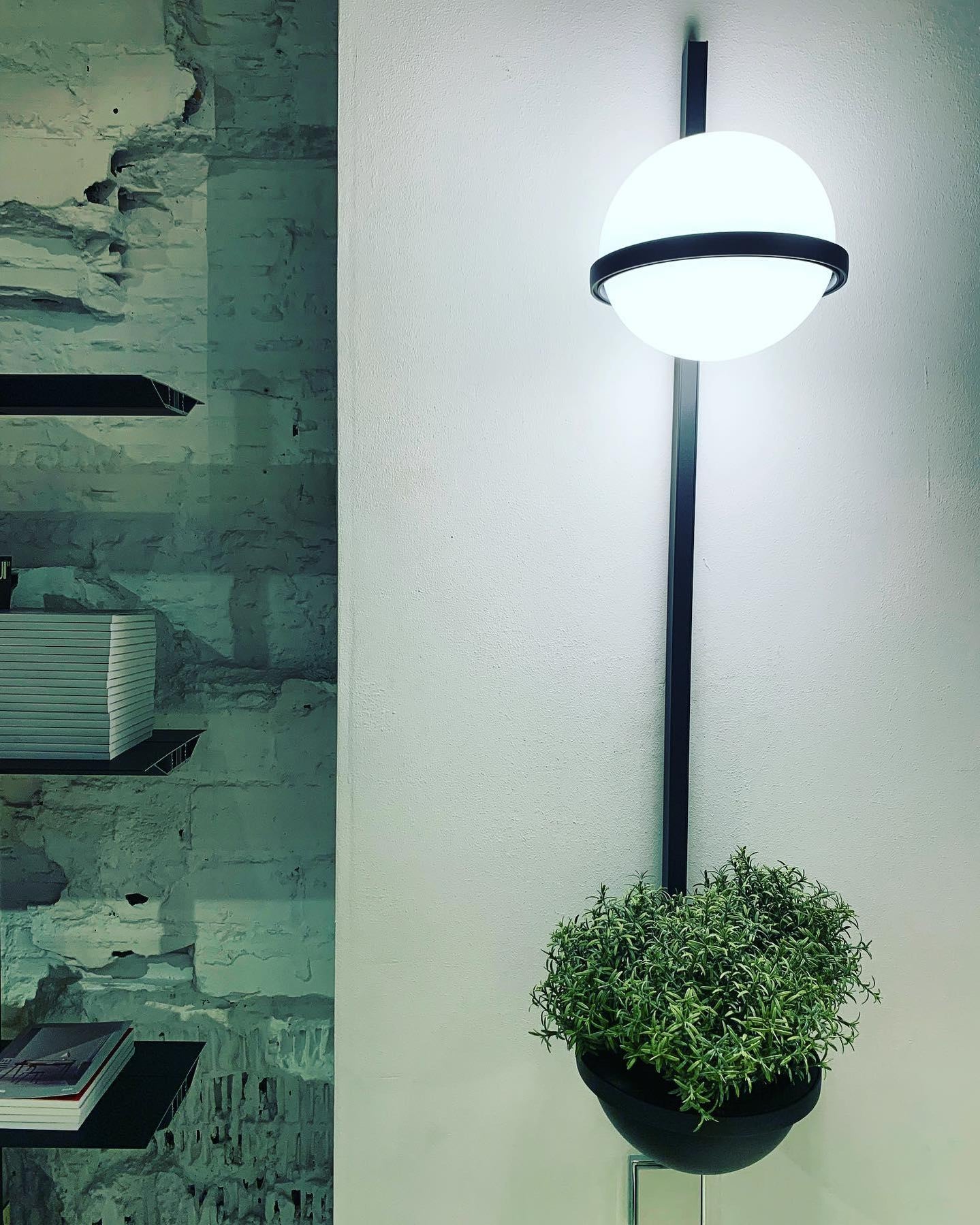 Stato Palma Desk Lamp – Lampada Da Scrivania Flessibile, Design Moderno, Colore Nero